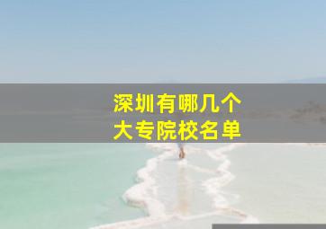 深圳有哪几个大专院校名单