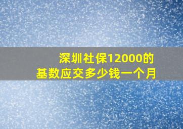 深圳社保12000的基数应交多少钱一个月