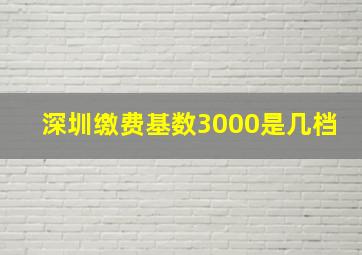 深圳缴费基数3000是几档