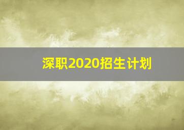 深职2020招生计划