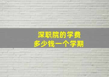 深职院的学费多少钱一个学期