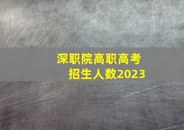 深职院高职高考招生人数2023