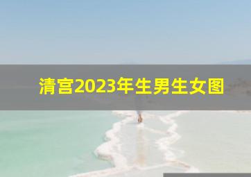 清宫2023年生男生女图