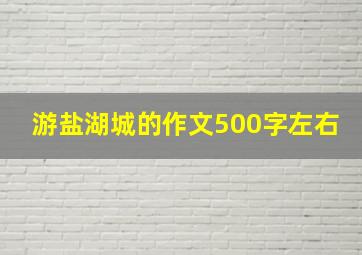 游盐湖城的作文500字左右