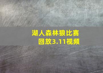 湖人森林狼比赛回放3.11视频