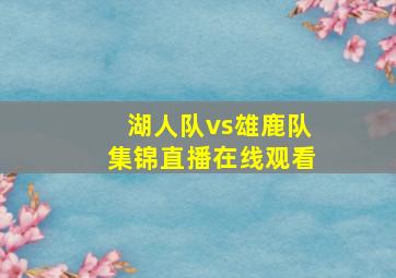 湖人队vs雄鹿队集锦直播在线观看