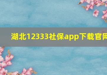 湖北12333社保app下载官网