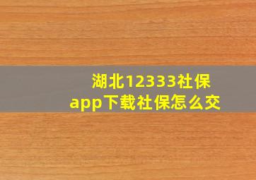 湖北12333社保app下载社保怎么交