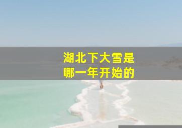 湖北下大雪是哪一年开始的