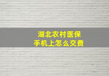 湖北农村医保手机上怎么交费