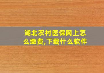 湖北农村医保网上怎么缴费,下载什么软件