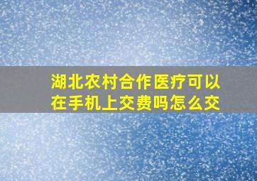 湖北农村合作医疗可以在手机上交费吗怎么交