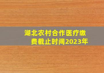 湖北农村合作医疗缴费截止时间2023年