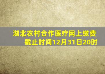 湖北农村合作医疗网上缴费截止时间12月31日20时