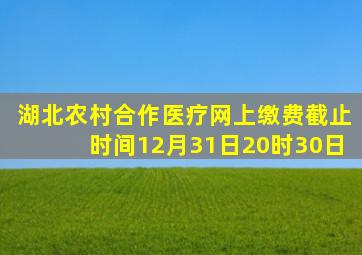 湖北农村合作医疗网上缴费截止时间12月31日20时30日