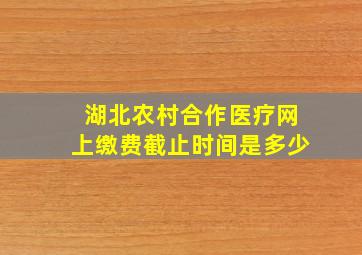 湖北农村合作医疗网上缴费截止时间是多少