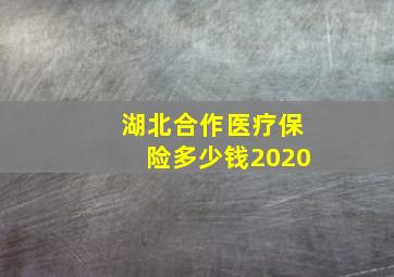 湖北合作医疗保险多少钱2020