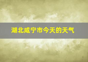 湖北咸宁市今天的天气