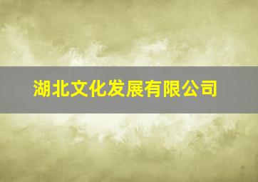 湖北文化发展有限公司