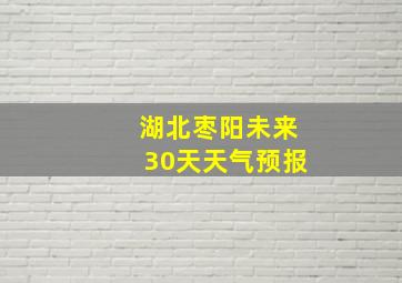 湖北枣阳未来30天天气预报