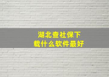 湖北查社保下载什么软件最好