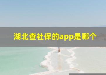 湖北查社保的app是哪个