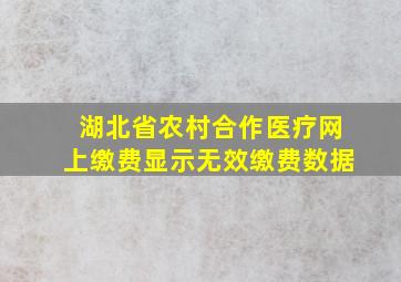 湖北省农村合作医疗网上缴费显示无效缴费数据