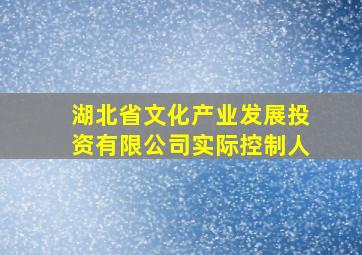 湖北省文化产业发展投资有限公司实际控制人