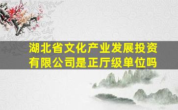 湖北省文化产业发展投资有限公司是正厅级单位吗