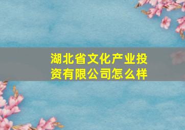 湖北省文化产业投资有限公司怎么样