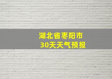 湖北省枣阳市30天天气预报