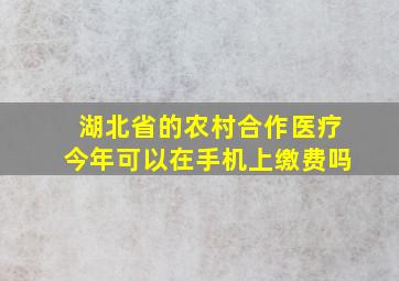 湖北省的农村合作医疗今年可以在手机上缴费吗