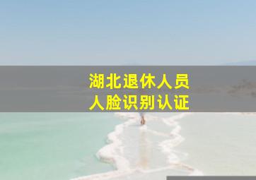 湖北退休人员人脸识别认证