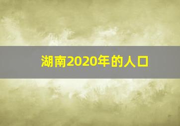 湖南2020年的人口