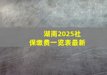 湖南2025社保缴费一览表最新