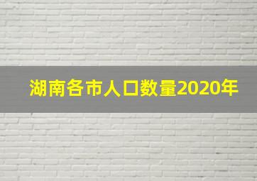 湖南各市人口数量2020年