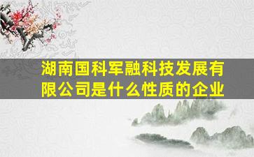 湖南国科军融科技发展有限公司是什么性质的企业