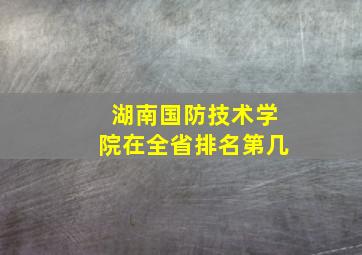 湖南国防技术学院在全省排名第几