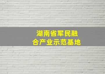 湖南省军民融合产业示范基地