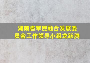 湖南省军民融合发展委员会工作领导小组龙跃腾