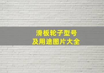 滑板轮子型号及用途图片大全