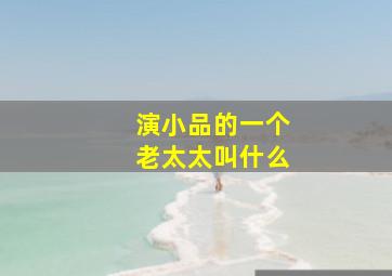 演小品的一个老太太叫什么