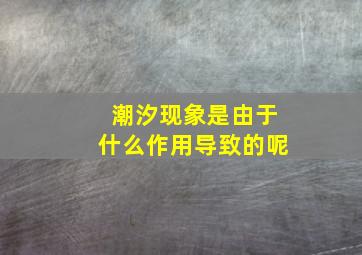 潮汐现象是由于什么作用导致的呢