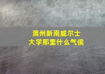 澳州新南威尔士大学那里什么气侯