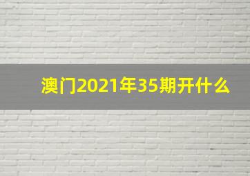 澳门2021年35期开什么