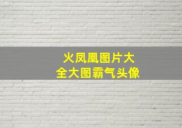 火凤凰图片大全大图霸气头像