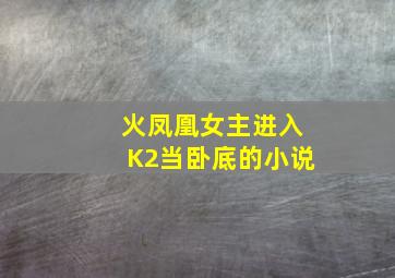 火凤凰女主进入K2当卧底的小说