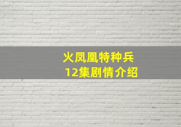 火凤凰特种兵12集剧情介绍