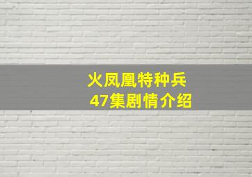 火凤凰特种兵47集剧情介绍