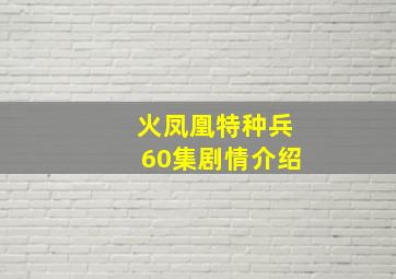 火凤凰特种兵60集剧情介绍